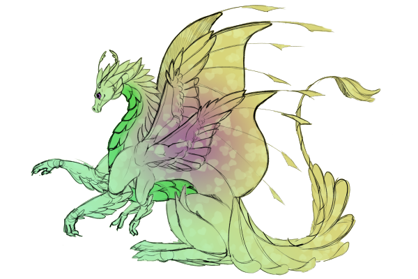 A recently hatched player dragon